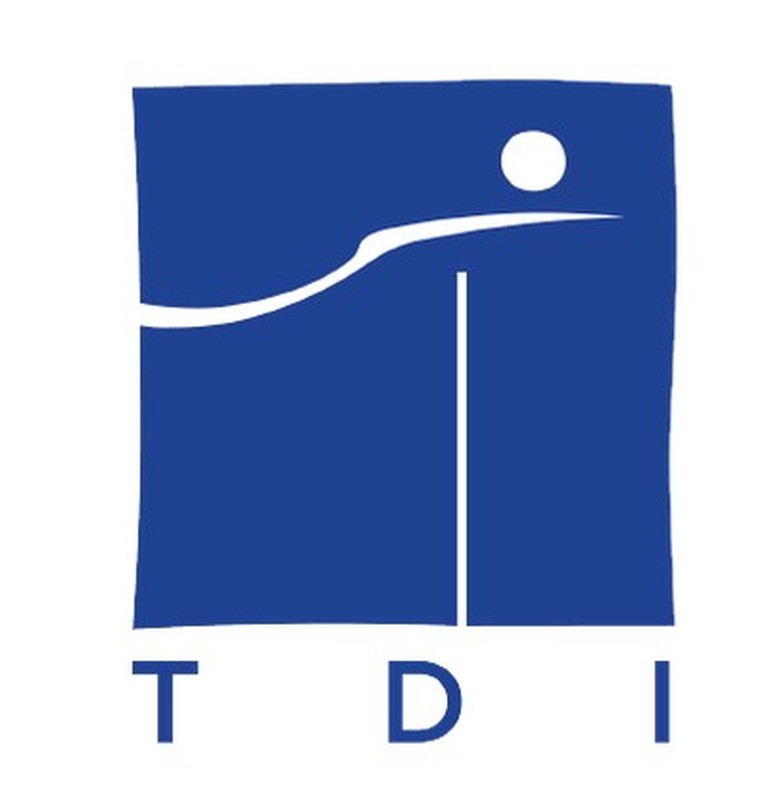 TDI  S.A.S